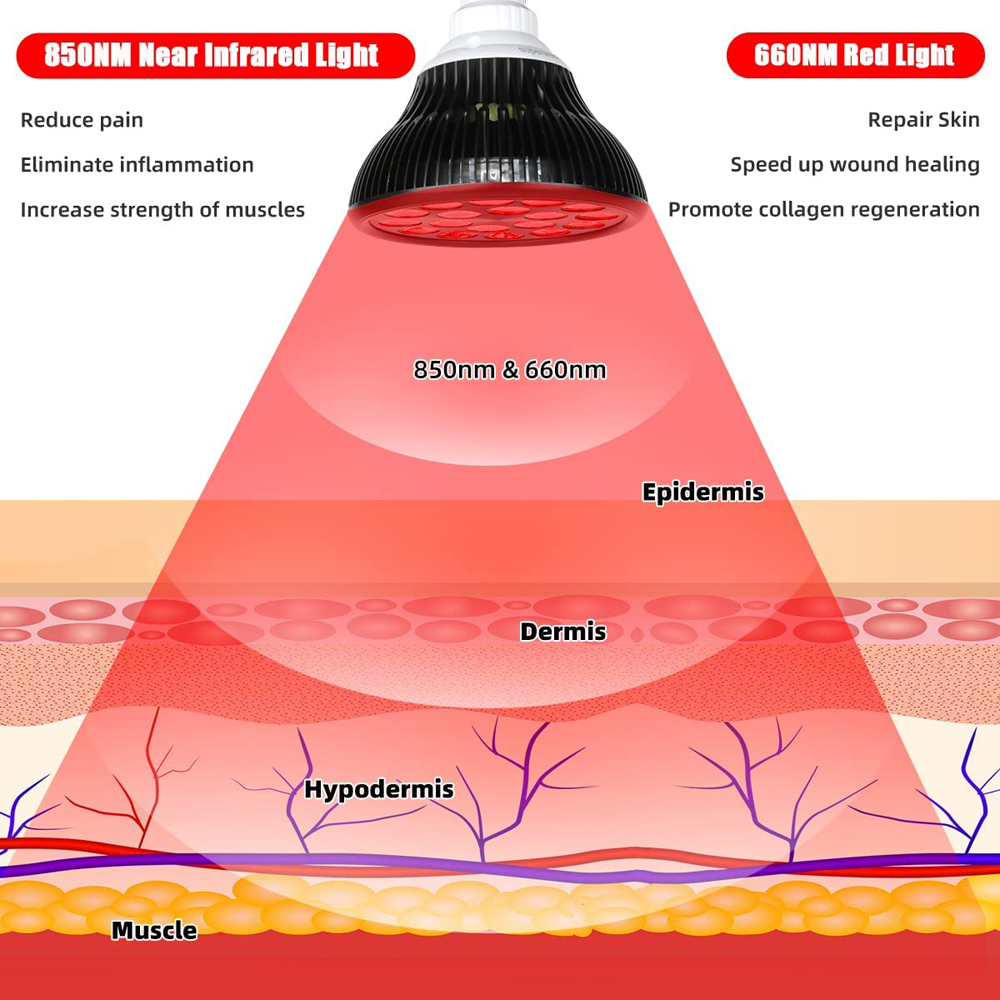 54W 660nm&850nm LED Red and In - đánh giá và giá Galvanic Skin Sensor