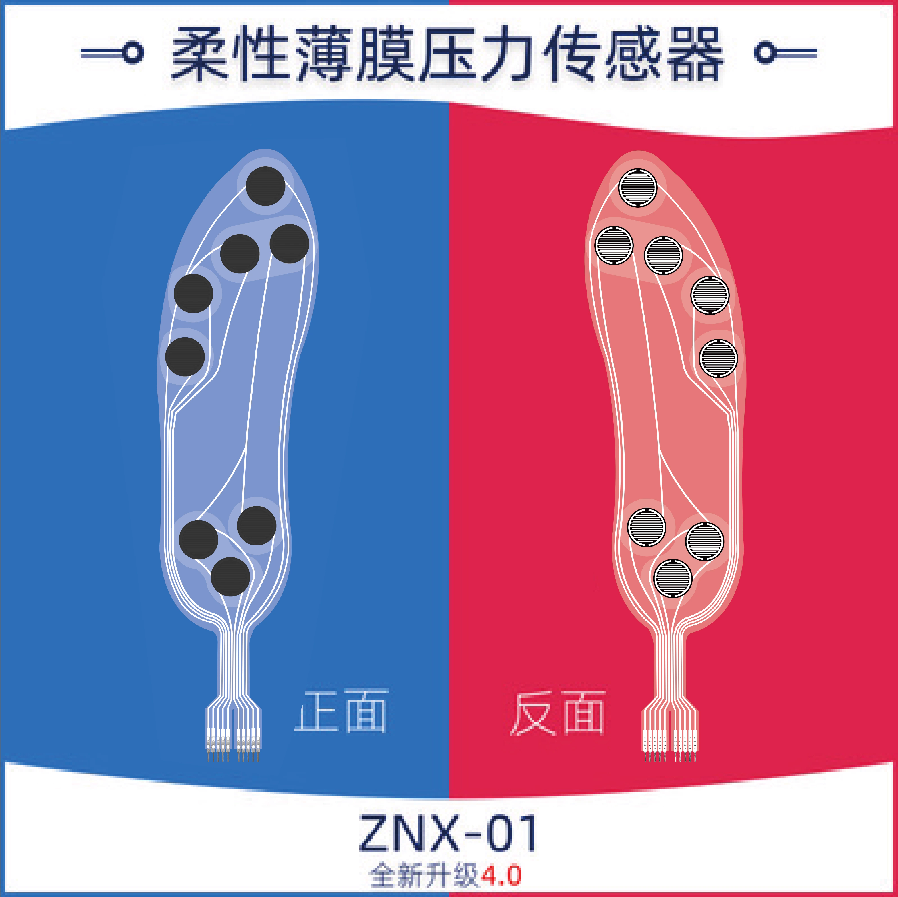 Flexible Thin Film Pressure Se - đánh giá và giá Smart Insole Pressure