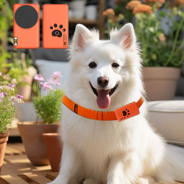AI Wearable Pet Health Monitor - đánh giá và giá Breath Rate Monitor